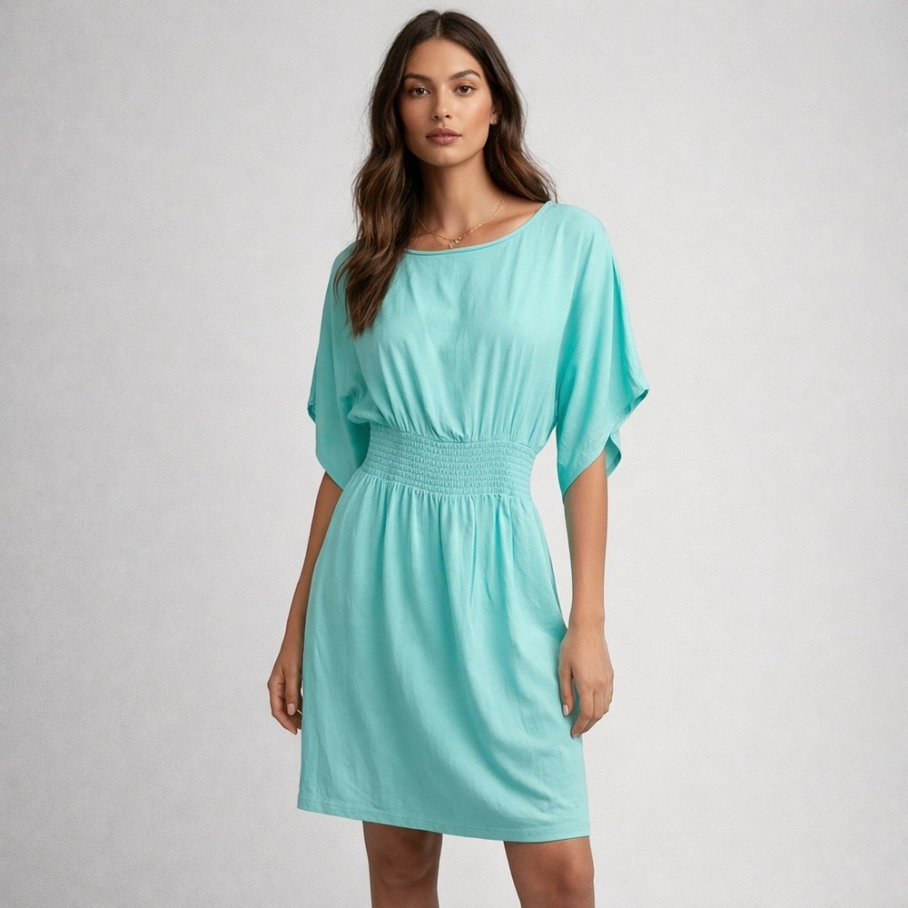 Babaton Light Aqua Smocked Waist Short Sleeve Dress